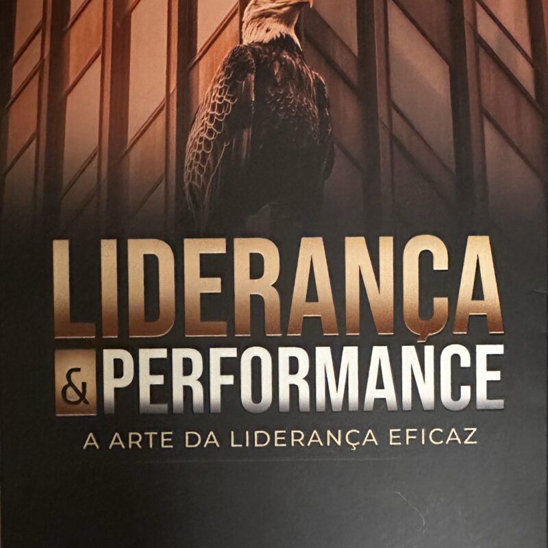 Liderança e Performance: A arte da liderança eficaz